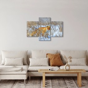Kép - Róka (90x60 cm)