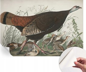 Design fali fotótapéta öntapadós természetes harmónia 152x104