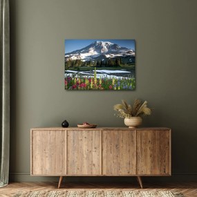 Kép - Mount Rainier (70x50 cm)