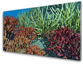 Üvegkép Barrier Reef Nature 100x50 cm 2 fogas