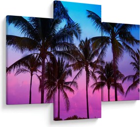 Kép - Pálmafák Miamiban (90x60 cm)