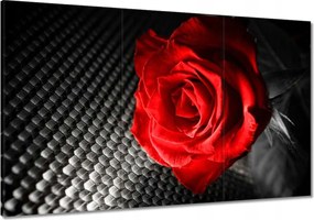 Vászonkép 120x80 Piros a szürkeség között