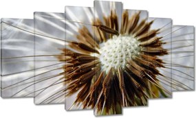 Vászonkép 140x80 Pitypang Virág Virágok