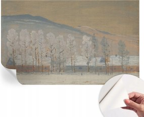 Fotótapéta Öntapadós Dekoratív tapéta Téli táj 416x254 cm