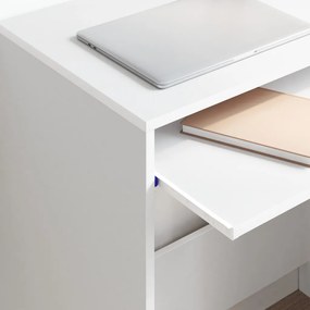 Számítógépasztal Fehér Engineered wood Kompakt Szervezők