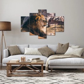 Egy fekvő oroszlán képe (150x105 cm)