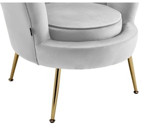 Világosszürke bársony fotel Kelsey – Støraa