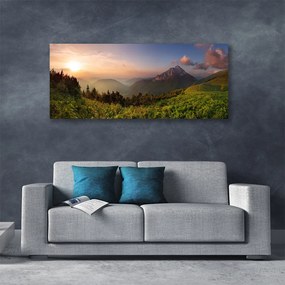Vászonkép falra Mount Forest Nature 140x70 cm