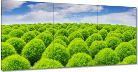 Vászonkép 120x60 Zöld tekintet Völgy