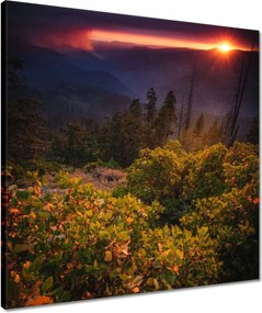 Vászonkép 50x50 Kilátás Tájkép