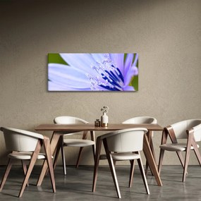 Kép - Virág (120x50 cm)