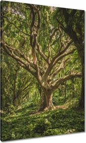 Vászonkép 70x100 Fa a parkban