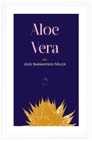 Poszter paszportuval  Aloe Vera felirattal