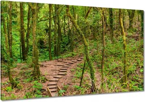 Képek 120x80 Gyalogtúra