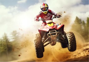 Quad 3D Ifjúsági fotótapéta Fiúknak 312x219