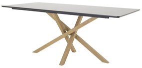 Asztal Dallas 193Fekete, Tölgy, 75x90x180cm, Közepes sűrűségű farostlemez, Fém