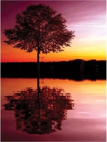 Fotótapéta Fa Nyugat Vinyl víz 184x254 Nyugalom Természet Pihenés +ragasztó