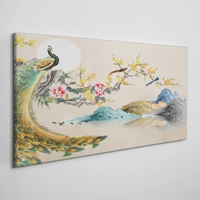 Vászonkép Absztrakt hegyi páva virágok