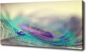 Vászonkép Csepp a tollon 100x70 cm