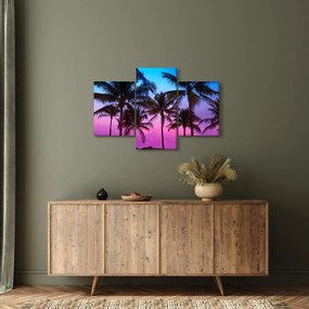 Kép - Pálmafák Miamiban (90x60 cm)