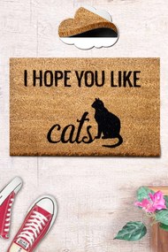 Coco You Like Cats