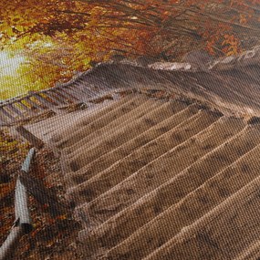 Kép - Lépcsők a természetben ősszel (120x50 cm)
