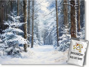 Fotótapéta Flizelina Tájkép Erdő Fák Út Hó Tél Fagy 254x184 ragasztó