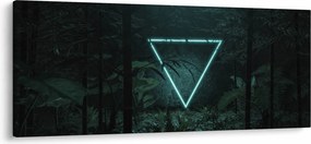 Kép - Neon háromszög a dzsungelben (120x50 cm)