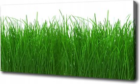 Fotótapéta nappaliba Fű 100x70 cm