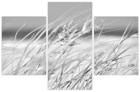 Kép - Strandfű (90x60 cm)