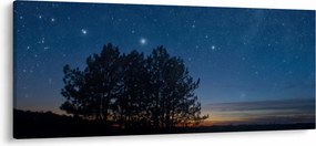 A fák éjjel képe (120x50 cm)