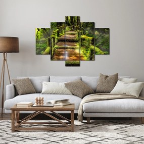 Lépcső az esőerdőben képe (150x105 cm)