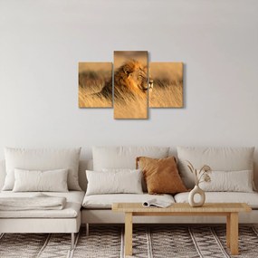 Kép - Etosha Nemzeti Park (90x60 cm)