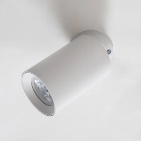 Zuma Line TORE TLS006-WH mennyezeti lámpa 1x35W/GU10 IP20