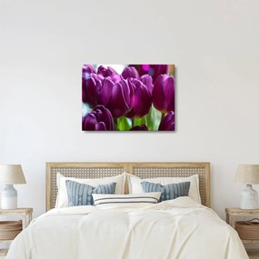 Tulipán képe (70x50 cm)