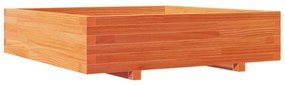 viaszbarna tömör fenyőfa kerti virágláda 100 x 100 x 26,5 cm