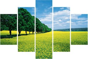 A mező képe egy sikátorral (150x105 cm)