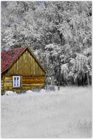 Poszterek 80x120 Fa ház Bale