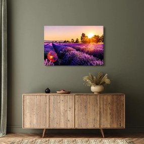 A levendula mező képe (90x60 cm)