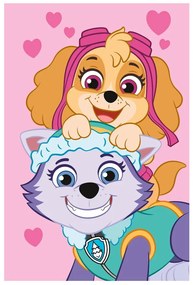 Fleece gyerek takaró 100x150 cm Paw Patrol – Jerry Fabrics