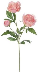 Mű bazsarózsa, 67 cm, rózsaszín