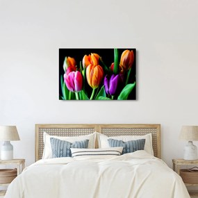 Tulipánok képe fekete alapon (90x60 cm)