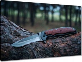 Képek 120x80 Kés fekszik egy fatörzsön