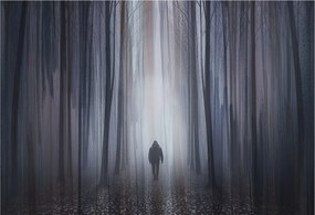 Flizelin fotótapéta Flizelin Designer Erdei csend 152x104 Ragasztó