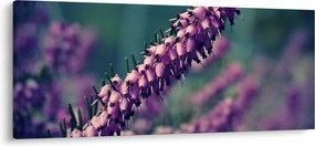 Levandula képe (120x50 cm)