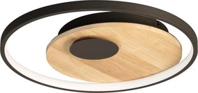 Fischer&Honsel Marit 21534 Plafonlámpa 1x24,8w/led 2700k-6500k 3420lm ip20