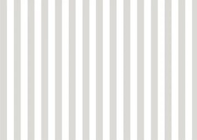 Parato Cristiana Masi Top Stripes Riga 7 fehér-szürke csíkos vlies tapéta – 38451