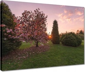 Vászonkép 40x30 Kilátás Tájkép