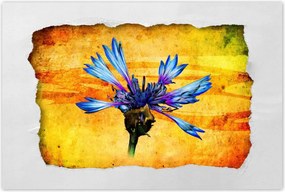 Poszterek 120x80 Chaber