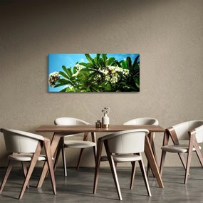 Kép - Plumeria (120x50 cm)